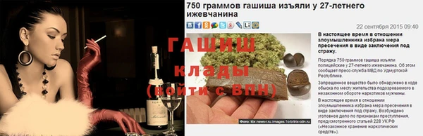 гидра Галич