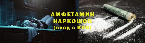 гидра Галич