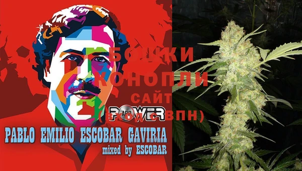 гидра Галич