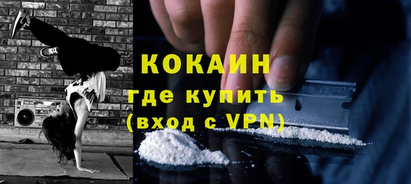 МДПВ Инта
