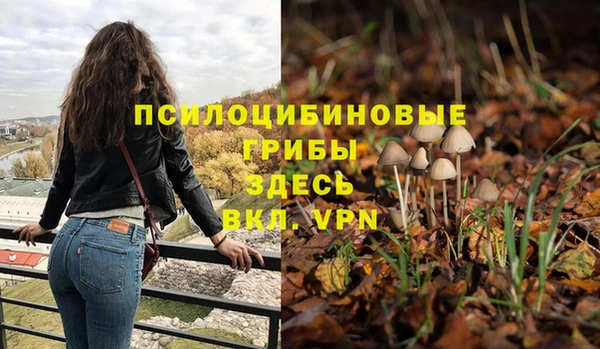 ешки Инсар
