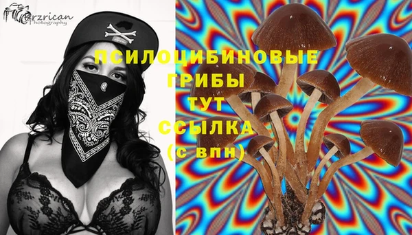 ешки Инсар