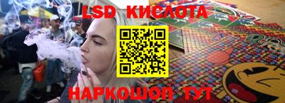 крисы Камышлов