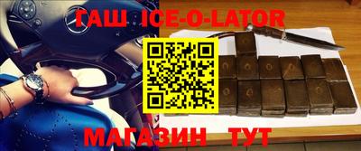 крисы Камышлов
