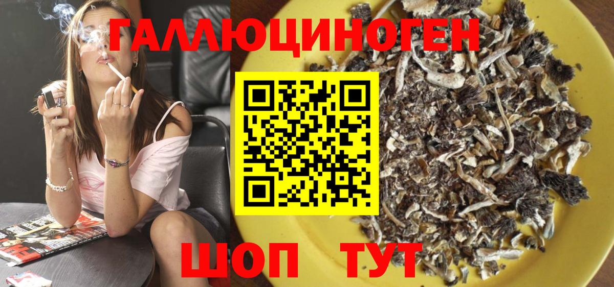 Канск  Псилоцибиновые грибы GOLDEN TEACHER  Вход с VPN 